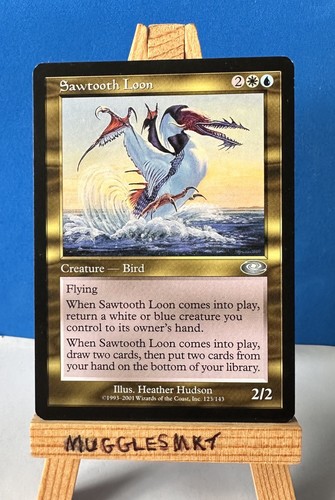 Sawtooth loon mtg - -,