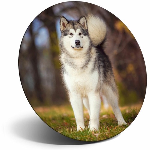 Awesome fridge magnet - fridge,