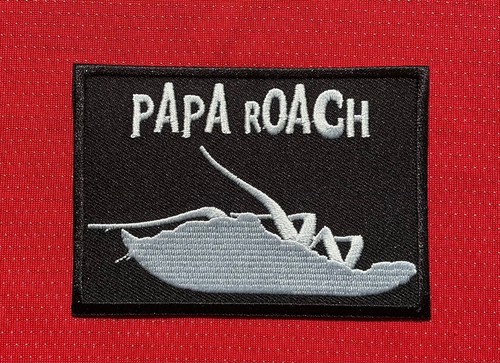 Papa roach rock - roach, heavy