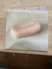 Dry Cleaning : Stumpwork VINYL