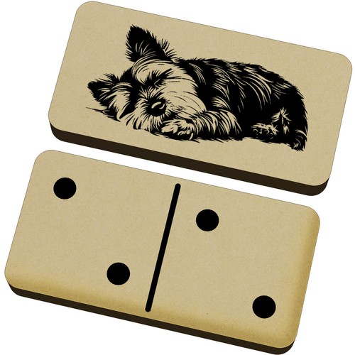 Yorkshire terrier asleep - 'yorkshire,