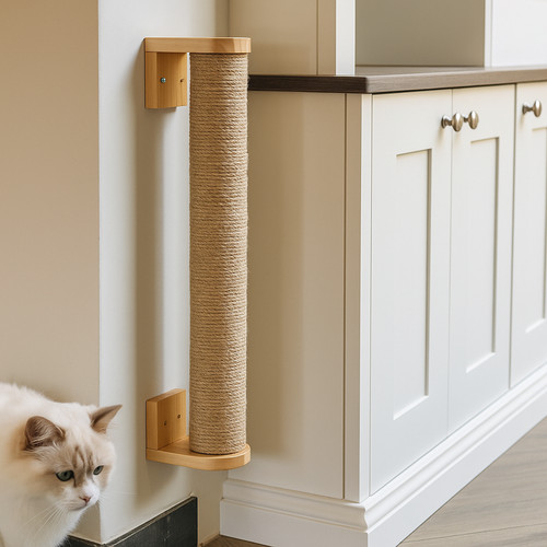 Cat wall scratching - scratching, –