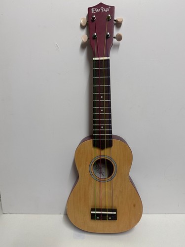 Everjoys beginner soprano - everjoys,