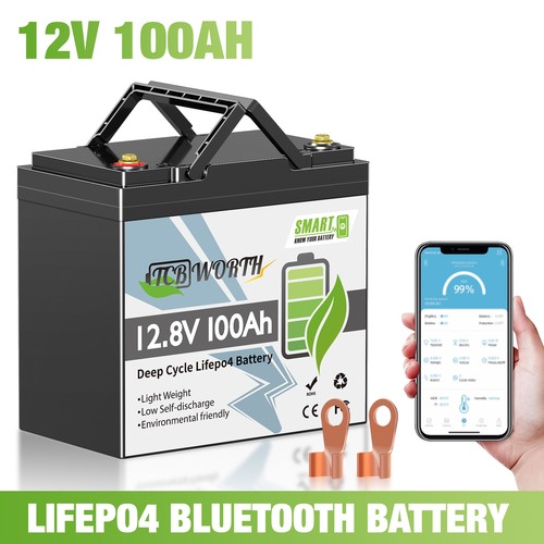 12v 100ah lifepo4 - 100ah,