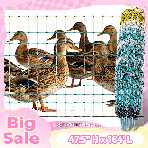 Updated poultry netting - poultry,