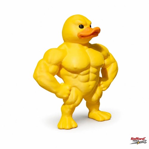 Funny muscle duck - duck, buff