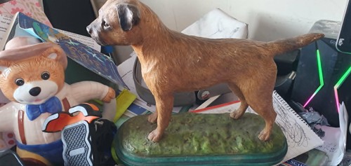 Border fine arts - terrier, dog
