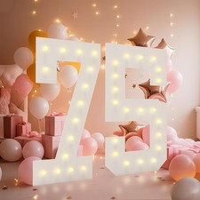 LOBOOM 4FT Light Up Numbers