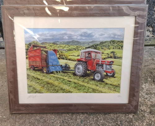 Framed picture print - picture, massey