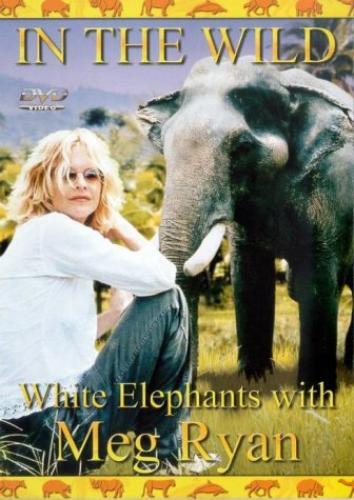 The wild elephants - in,