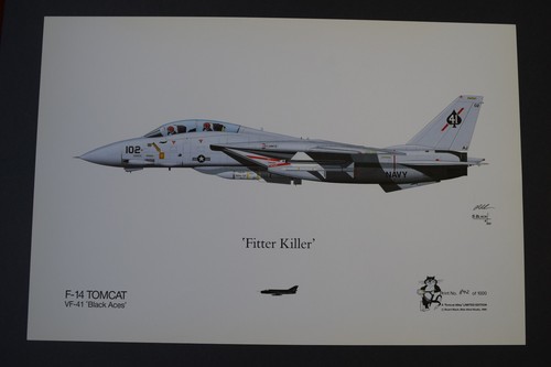 Aviation art 14a - -,