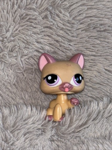 Littlest pet shop beige cat - shop,