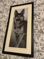 Nigel Hemming - Walk Tall - Print