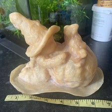 Clearance Halloween Witch