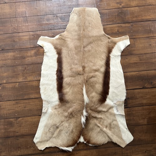 Genuine springbok hide rug - genuine,