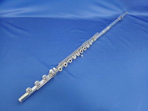 Verne powell update - update, flute