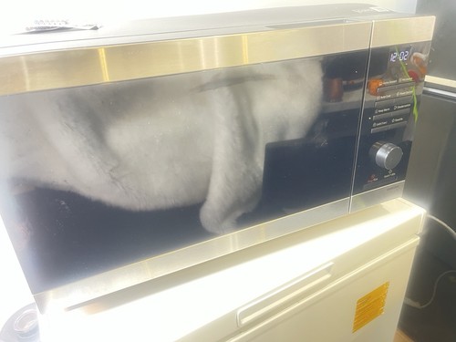 Samsung ms32dg4504 microwave - ms32dg4504,