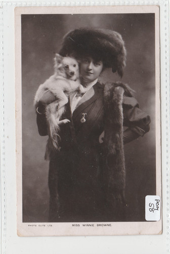 1915 dogs pomeranian miss - 1915,