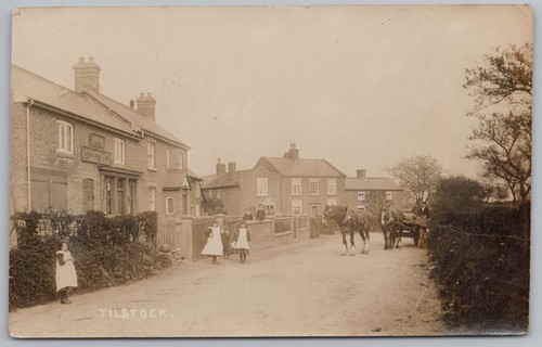 Tilstock village shire horses - village,,