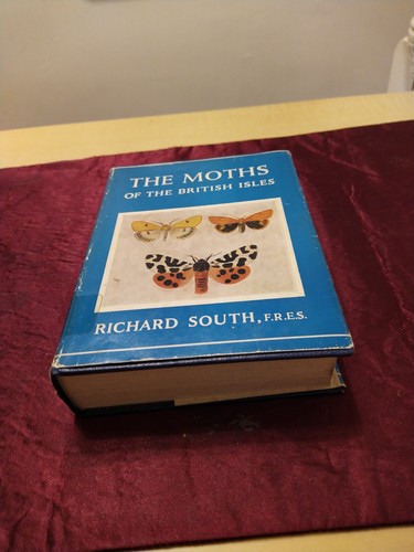 The moths - of,