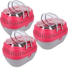 Small Animal Guinea Pig Rat