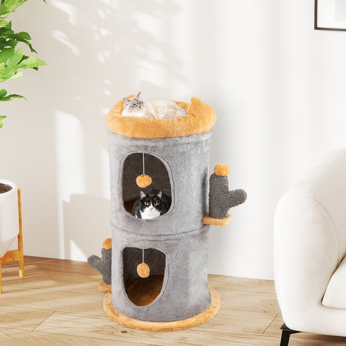 Cat house cute - cute,
