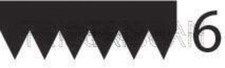 TRISCAN V-Ribbed Belt Black