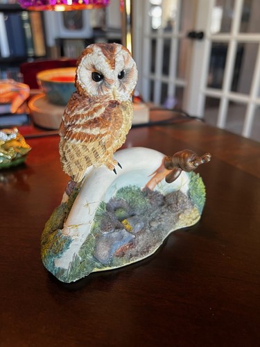 Border fine arts tawny - border,