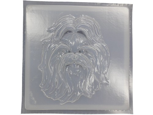 Shitzu shih tzu dog - shitzu,