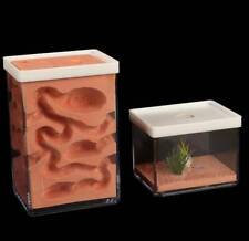 Ant Nest Ant Observation Box Formicarium Housing Ant Farm House Living Feeding