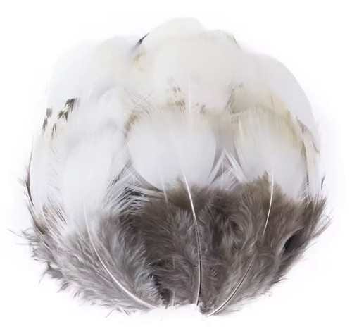 Types natural feathers - types,