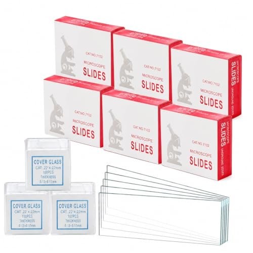 300 microscope glass slides - 300, +