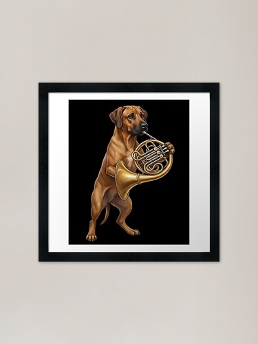 Rhodesian ridgeback playing - ridgeback,