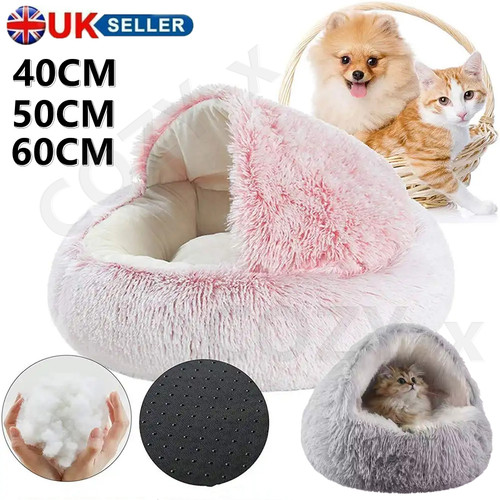 Pet dog cat - cat, bed