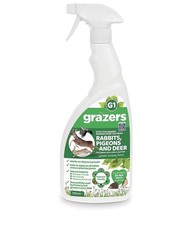 Grazers natural pigeon - pigeon, rabbit