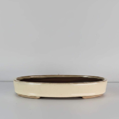 26cm glazed bonsai pot oval - bonsai,