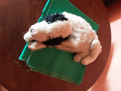 Vintage 1930s 40s dog - vintage,