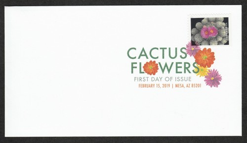 5355 cactus flowers - 5355,