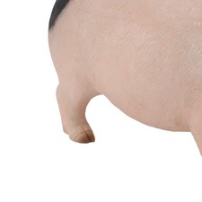 Small Pig Statue Standing