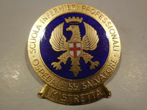 Badge school nursing - badge,