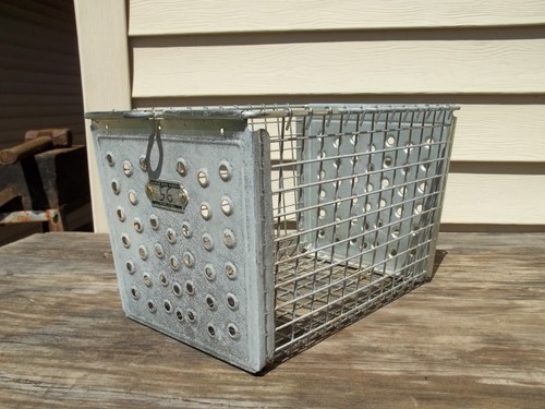 Vintage kaspar wire - 5,