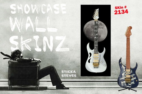 Wall art guitar display - art,