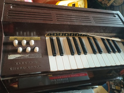 Magnus electric chord - electric, organ