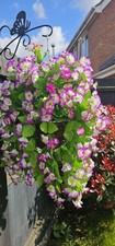 ☘️Artificial Flowers☘️ Hanging Basket Trailing☘️ Morning Glory Lilac / White 