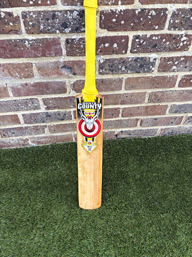 Hunts county mettle - mettle, cricket