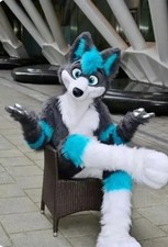 Fursuit Mascot Adults Outfit