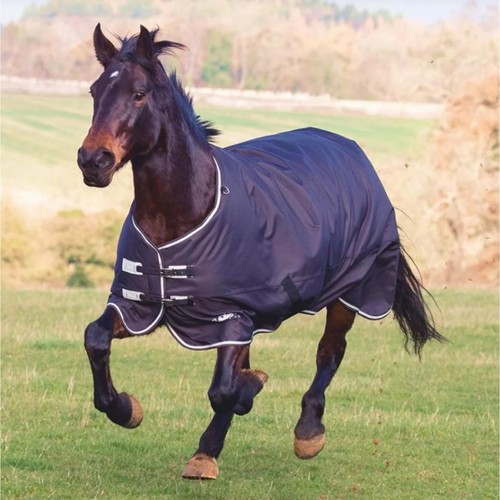 Shires tempest plus 300g - shires,