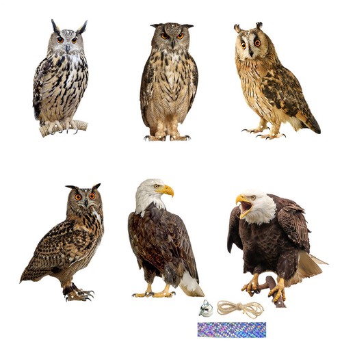 Owl decoy protect - garden, yard