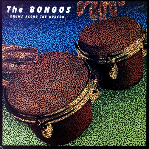 The bongos drums - the,