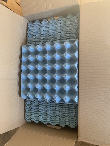 Egg trays for med - egg, trays:
